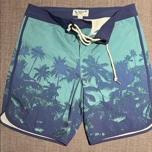 American Eagle Outfitters Teal & Navy Palm-Print Board Shorts